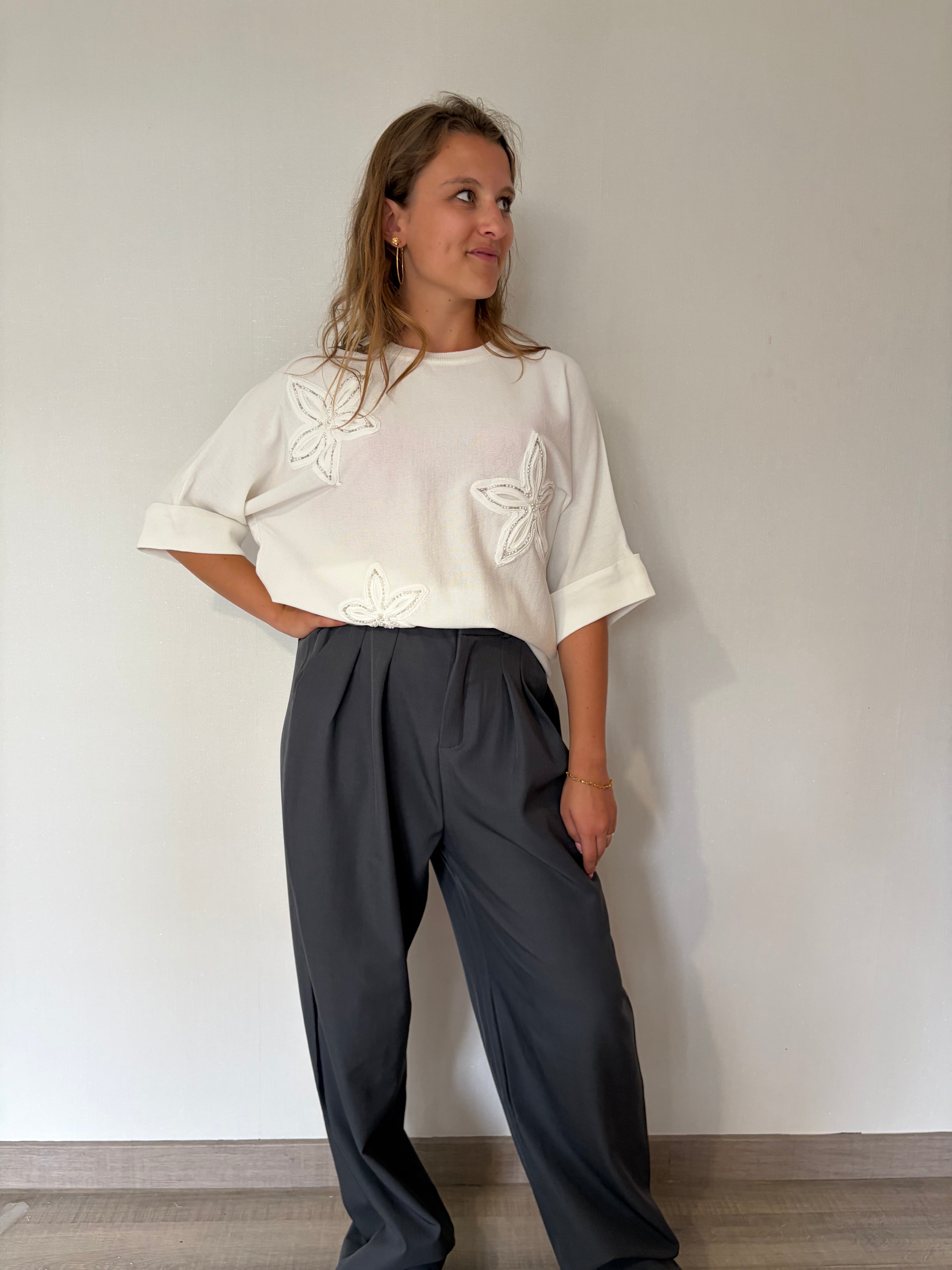 Pantalon Tailleur - Gris